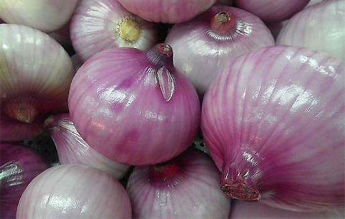 ���̴��߿��ԳԻ����� ��ʲô�����̴����